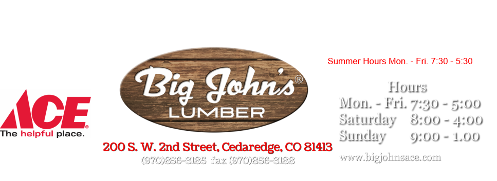 Big johns logo
